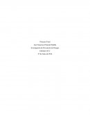 Final INV. Prevención