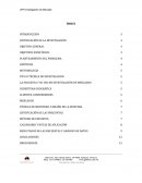 Ejemplo de una investigación de mercado