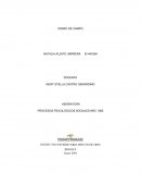 Diario de campo social.