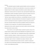 Gerencia Terry y Franklin (1986)