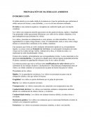 PREPARACIÓN DE MATERIALES AMORFOS.
