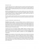 Musculos cara y pierna.