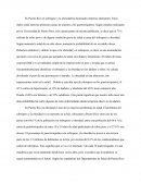 Sobrepeso infantil en Puerto Rico.