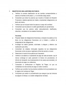 AUDITORIA PASIVO Y PATROIMONIOю