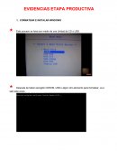 EVIDENCIAS ETAPA PRODUCTIVA