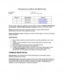 Impresíon recibos de Matrícula