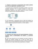 Compare la estructura de organización del hospital Lakeside con la de una organización empresarial común.
