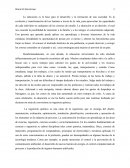 Ensayo de Ingenieria Quimica.