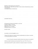 MINISTERIO DEL PODE POPULAR PARA LA EDUCACIÓN UNIVERSITARIA, CIENCIA Y TECNOLOGIA.