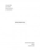 SOCIEDAD ANONIMA FICTICIA.