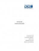 Tema: Divorcio Incausado