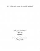 Taller sobre indicadores de gestion.