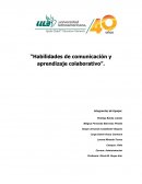 Habilidades de comunicacion y aprendizaje colaborativo.