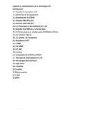 CARACTERIZACION LTE.