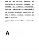 Demanda ordinaria de divorcio.