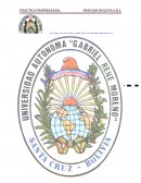 Practica empresarial - Diagnóstico De La Empresa