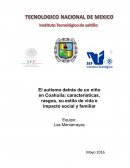 Tesis autismo- Presentación y justificación del tema