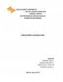 Comportamiento organizacionalю