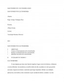 Mantenimiento motoreductor+ MANTENIMIENTO ELECTROBOMBA