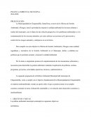 Politica Ambiental Municipal.