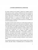 La excesiva onerosidad.