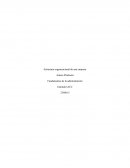 Fundamentos de la administración.Desarrollo