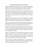 Caracterización de las operaciones de manufactura.