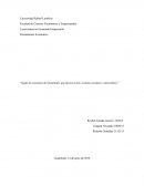 Pensamiento Económico Según la economía de Guatemala, que favorece más: sistema ortodoxo o heterodóxo.