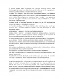 Ensayo sobre el Cerebro humano.