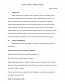 Ensayo Coaching y Trabajo en Equipo