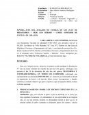 SEÑORA JUEZ DEL JUZGADO DE FAMILIA DE SAN JUAN DE MIRAFLORES – SEDE LOS HÉROES – CORTE SUPERIOR DE JUSTICIA DE LIMA SUR