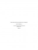 IDENTIFICACION DEL PELIGRO EN EL TRABAJO