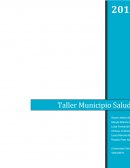 Taller Municipio Saludable