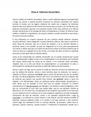 Clase 6: Sistemas Sensoriales