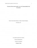 Responsabilidad Social Universitaria.