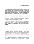 Trabajo MOTODOLOGIA FINAL corregido