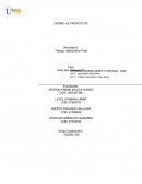 Diseño de proyectoi.