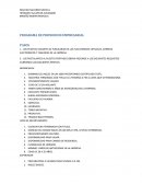 Programa de promocion empresarial