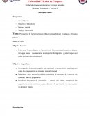 Tema: Prevalencia de la Sarcocistiosis (Sarcocystisaucheniae) en alpacas (Vicugna pacos).