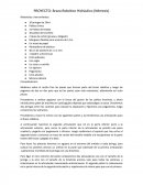 PROYECTO: Brazo Robótico Hidráulico (Némesis)