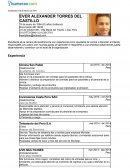 Curriculum Vitae- EVER ALEXANDER TORRES DEL CASTILLO