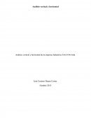 Analisis vertical y horizontal de la empresa Industrias FALCON Ltda.