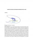 PROYECTO PISCICOLA (PESCANDO ESPERANZA PARA LA PAZ)