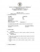 Observación de células ecucariotas