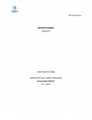 Trabajo macroeconomia.