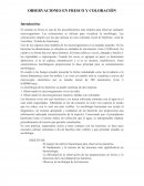 COLORACIÓN EN FRESCO.