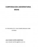 EL POSCONFLICTO Y SUS CONSECUENCIAS CATEDRA