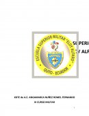 PLAN DE MANEJO AMBIENTAL DEL HOTEL VENECIA