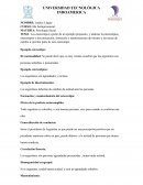 Estereotipos y sus elementos ejemplos.