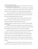 Reseñas sobre el texto de Pisarello